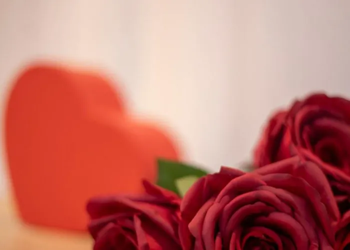 Saintly Chapelle Casa de Férias *